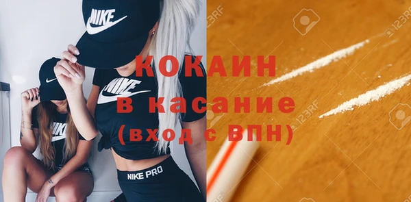 гашик Абинск