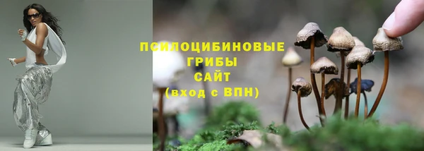 гашик Абинск