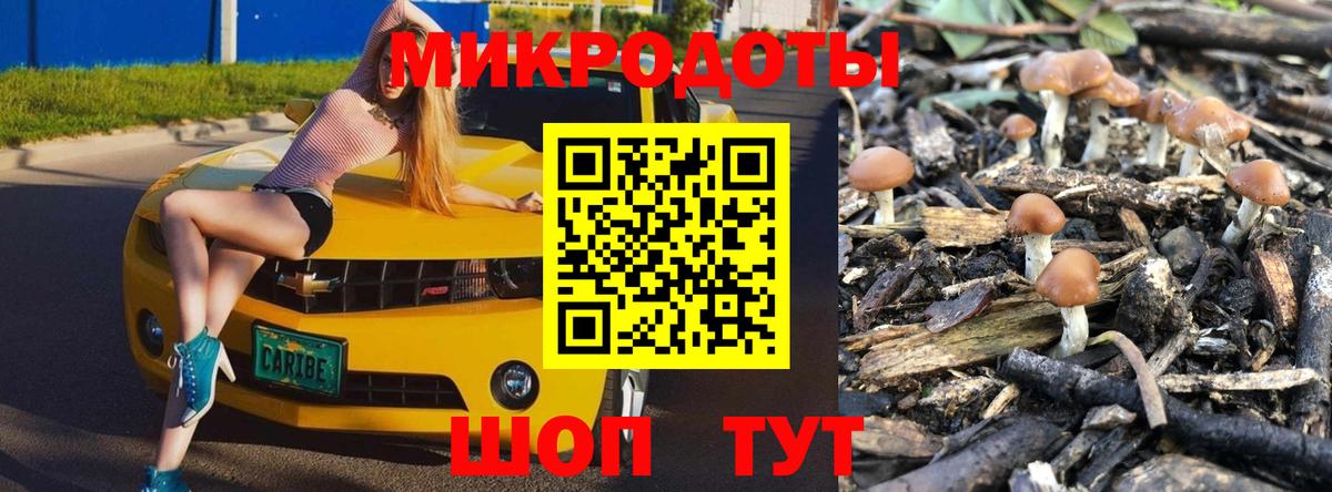 Псилоцибиновые грибы Magic Shrooms  Псилоцибиновые грибы Psilocybine cubensis  Вход с VPN  Кострома 