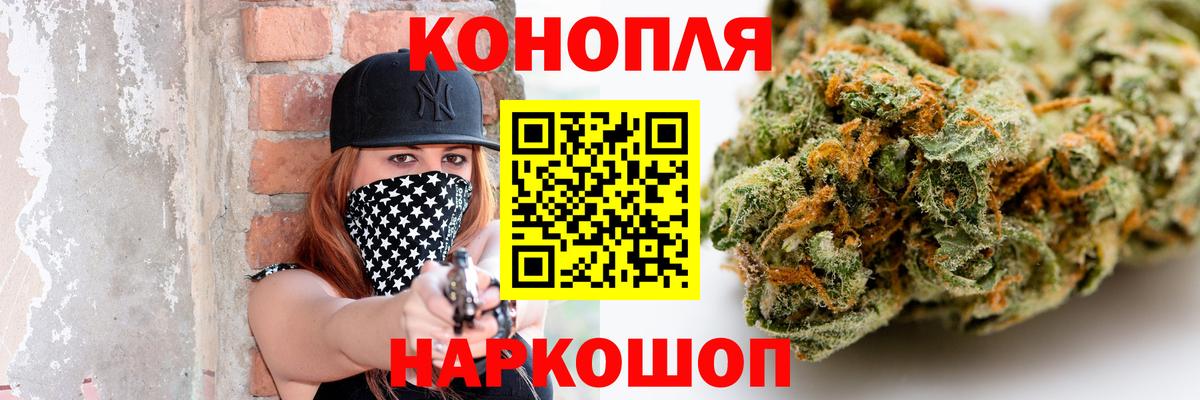 Бошки марихуана сатива  Вход с VPN  Каннабис планчик  Бошки марихуана планчик  Кострома 